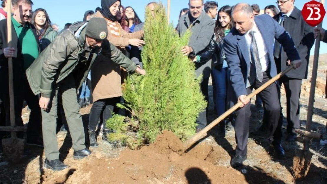 Elazığ'da Hayrettin Karaca anısına 200 fidan dikildi