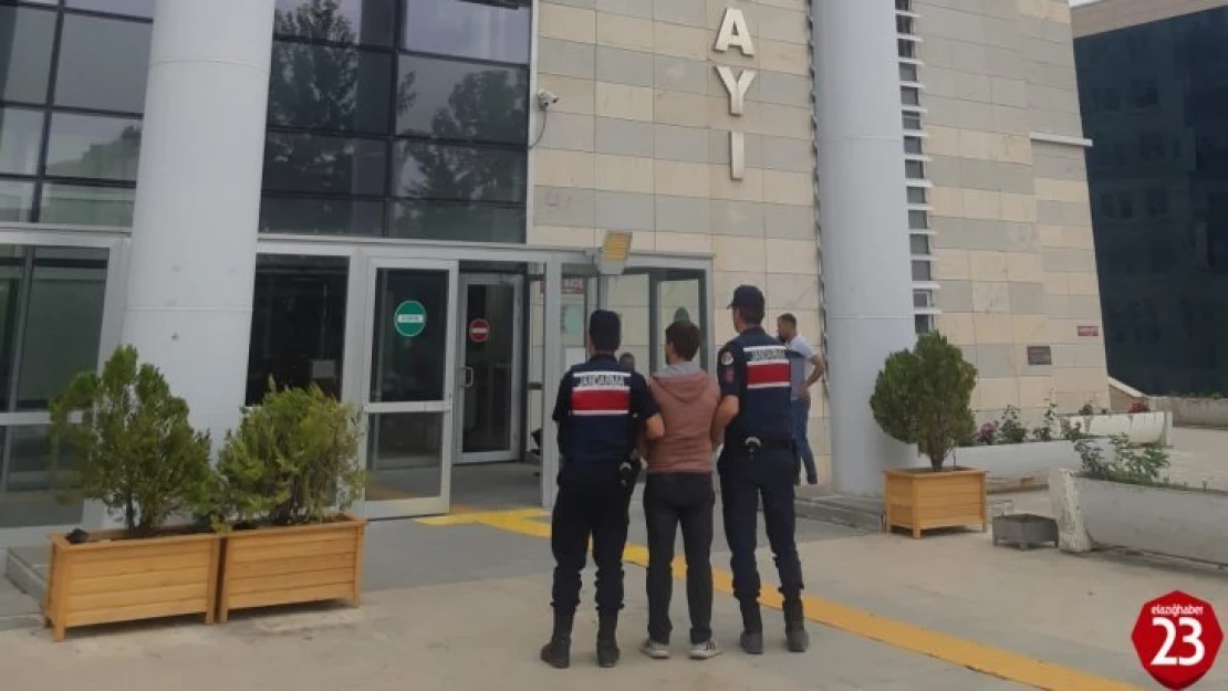 Elazığ'da hırsızlık suçundan aranan şüpheli jandarma ekipleri tarafından yakalandı