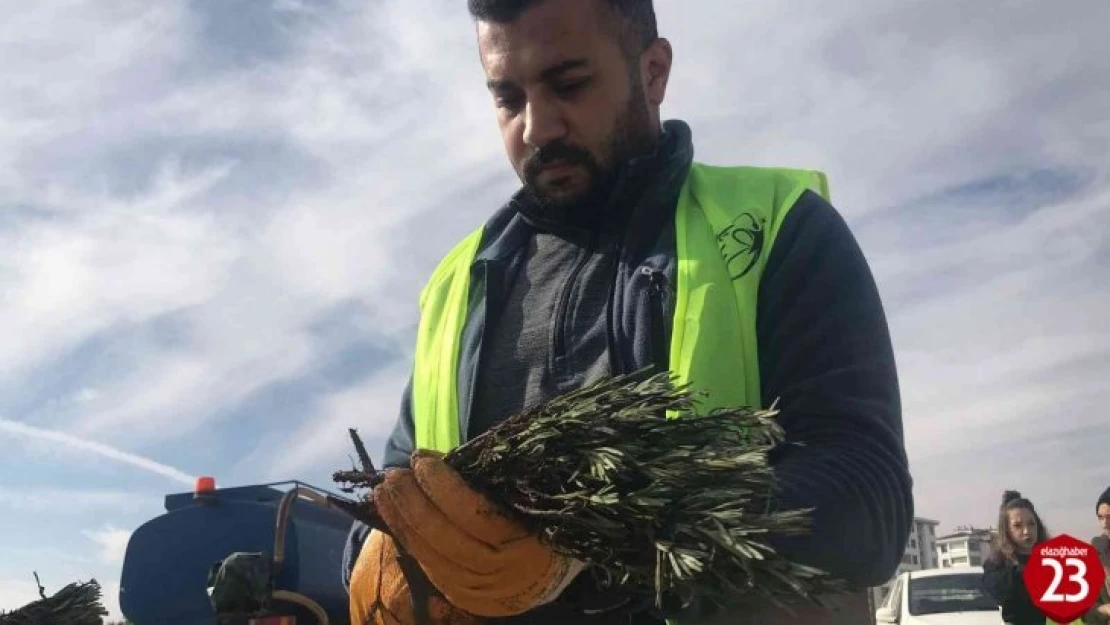 Elazığ'da İpek Yolu Gençlik Merkezi gönüllülerinden lavanta parkı