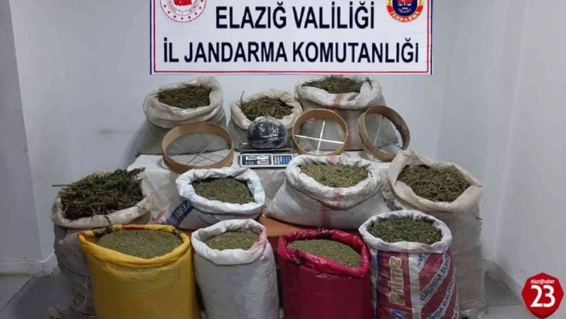 Elazığ'da jandarma ekipleri bir yılda 611 operasyon düzenledi: 670 şüpheli yakalandı