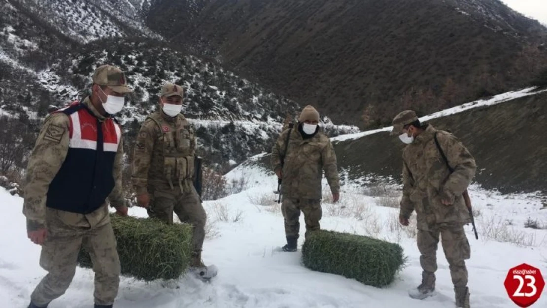 Elazığ'da jandarma, yaban hayatı için doğaya yem bıraktı