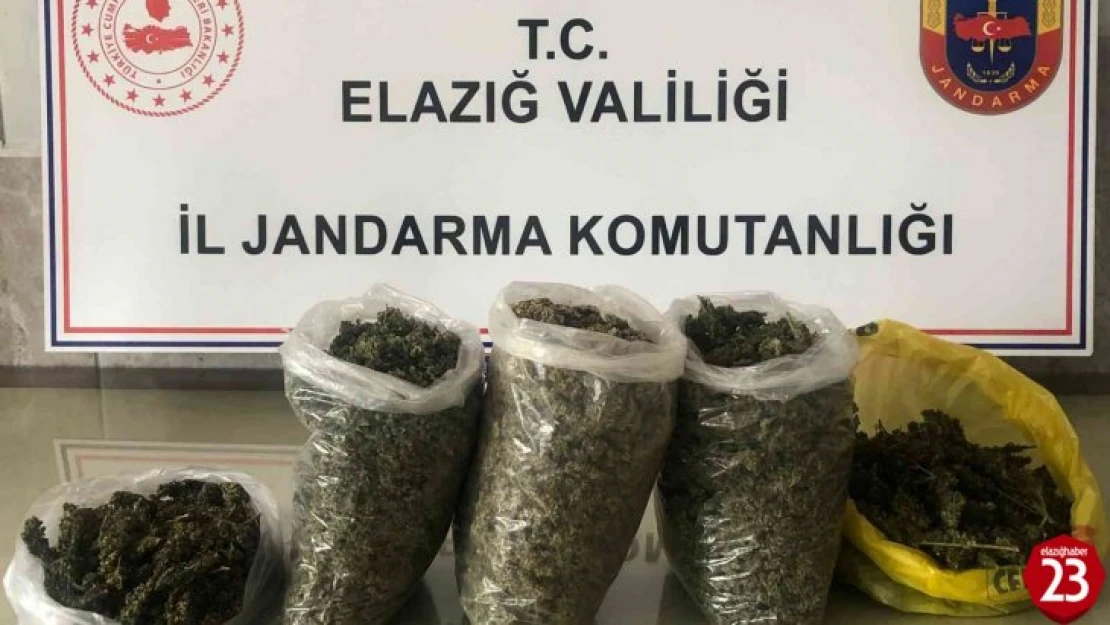 Elazığ'da jandarma zehir tacirlerine nefes aldırmıyor