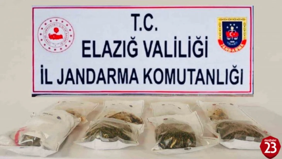 Elazığ'da jandarmadan uyuşturucu tacirlerine darbe