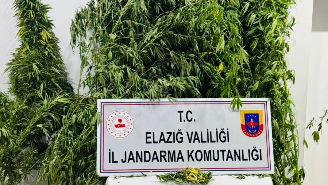 Elazığ'da Jandarmadan Uyuşturucu Operasyonu