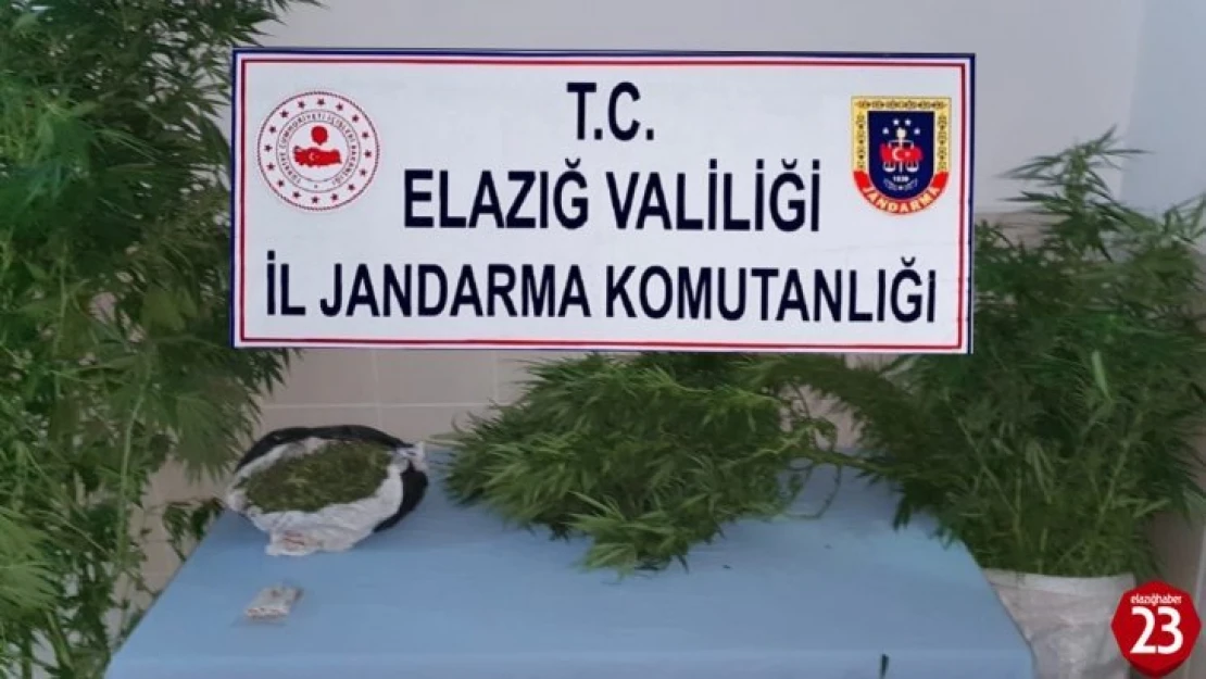 Palu'da Jandarmadan Zehir Tacirlerine Eş Zamanlı Operasyon