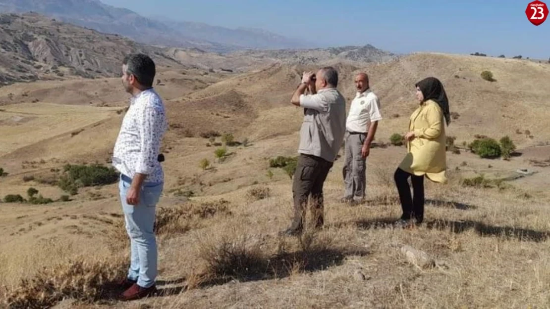 Elazığ'da kaçak avcıların kullandığı, bıldırcın sesi çıkaran cihaz ele geçirildi