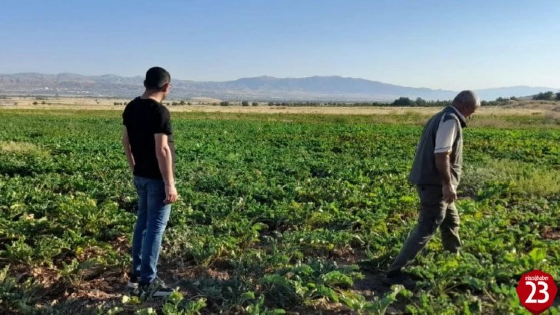 Elazığ'da kaçak avcılığın önlenmesi için denetimler sürüyor