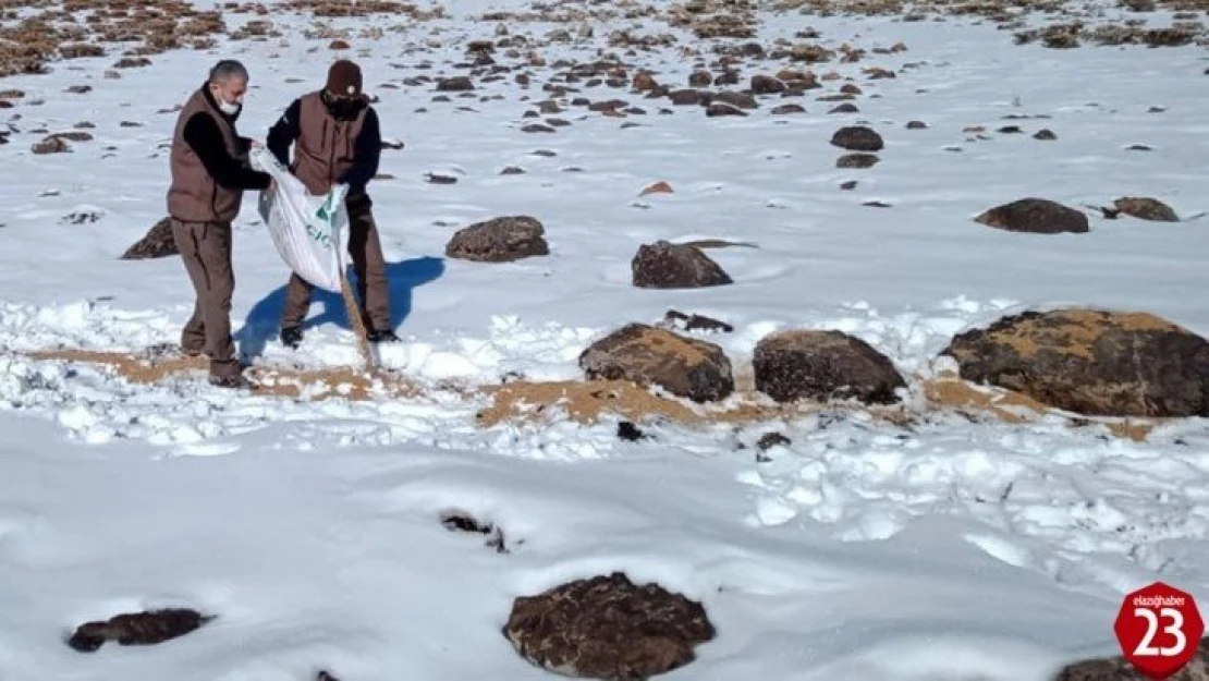 Elazığ'da kaçak avla mücadele ve yaban hayvanlarına yem desteği