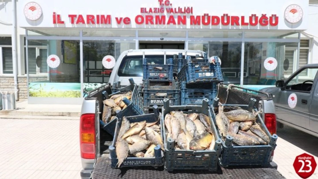 Elazığ'da kaçak avlanan 84 kişiye 350 bin lira ceza