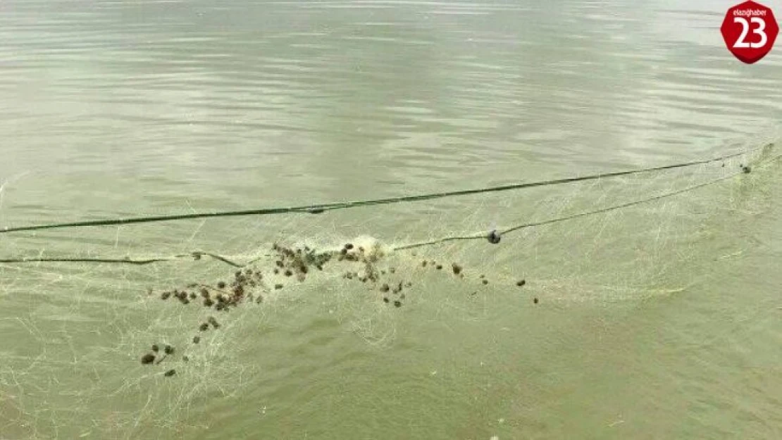 Elazığ'da kaçak balık avı ile mücadele