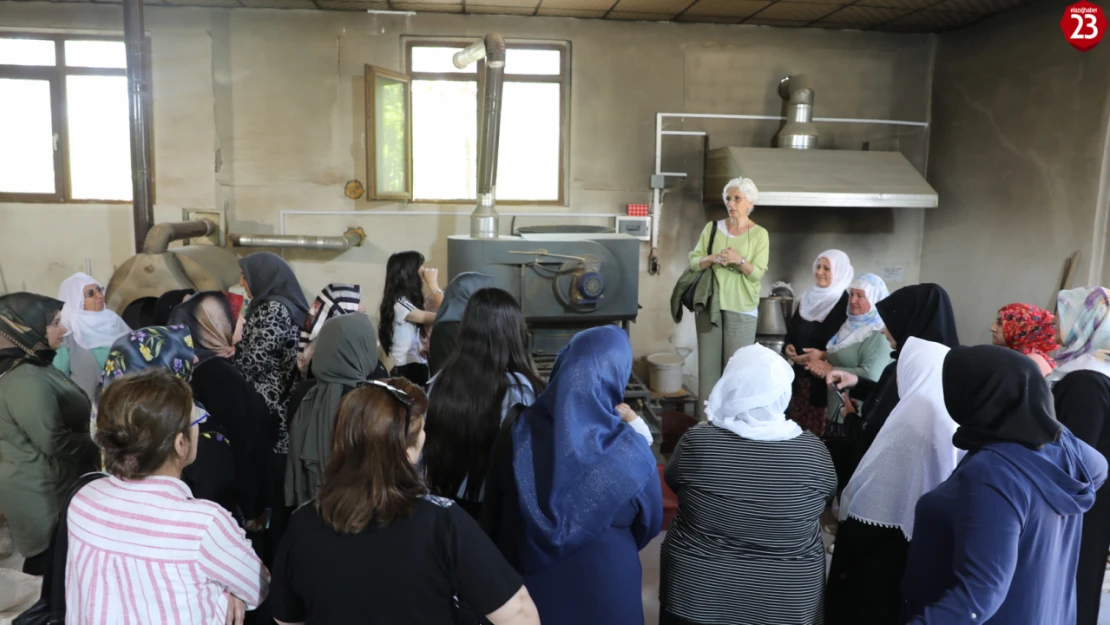 Elazığ'da Kadın Çiftçilere 'Lezzetli Turşular, Mutlu Sofralar' Projesiyle Eğitim ve Teknik Gezi Desteği