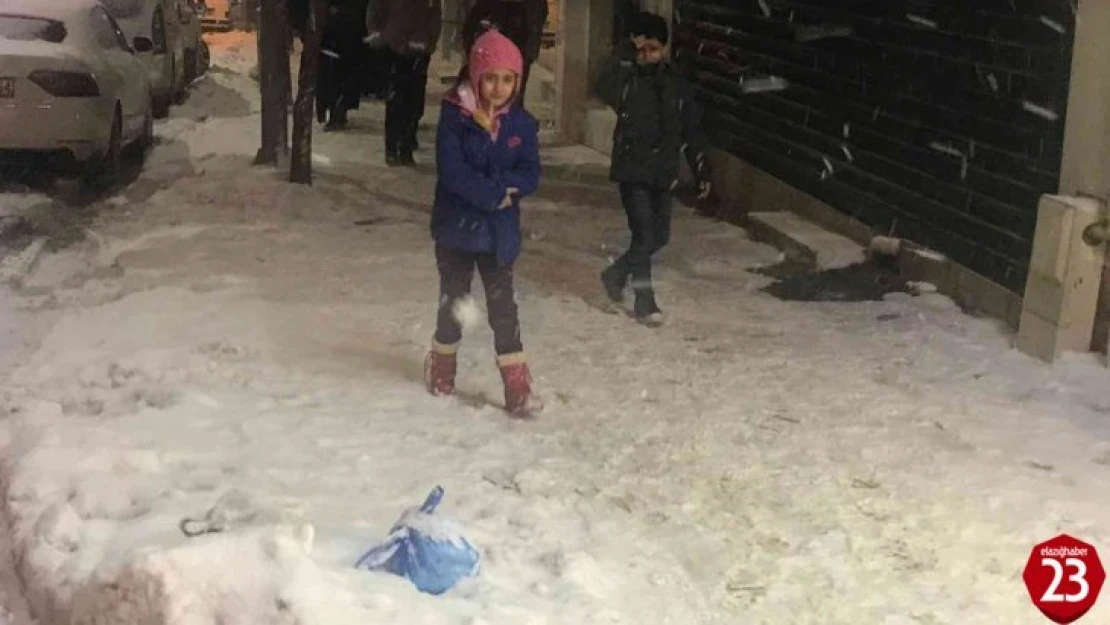 Elazığ'da Kar Etkisini Tekrar Gösterdi