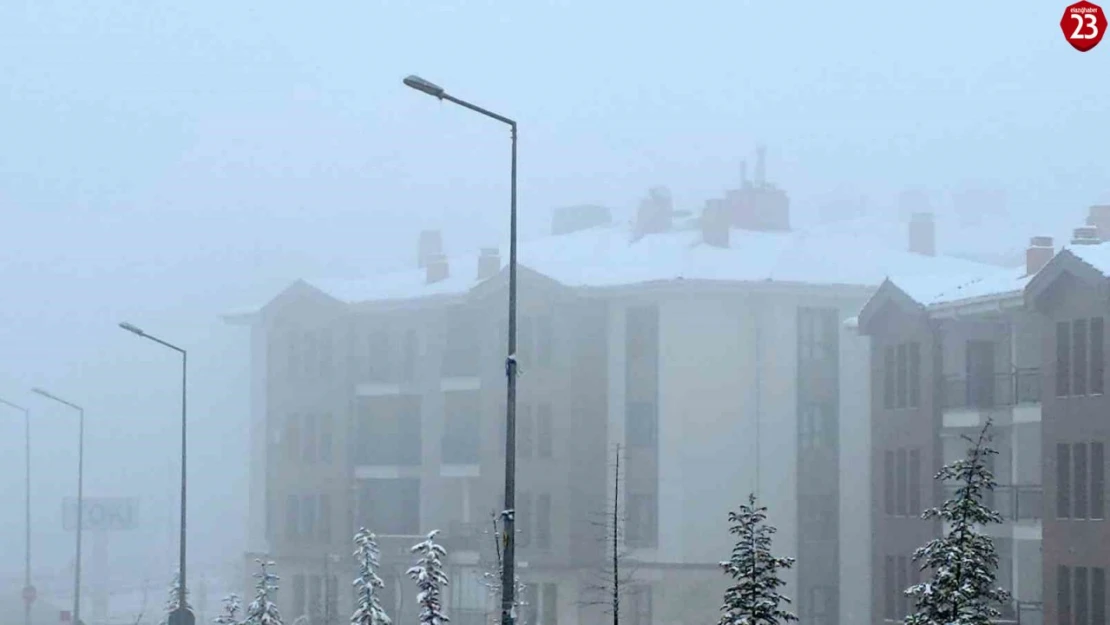 Elazığ'da kar yağışı sonrası sis etkili oldu