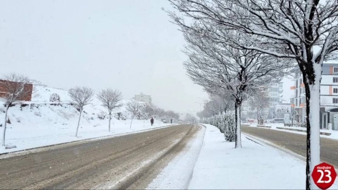 Elazığ'a Bahar Gelemedi, Kar Yağışı Etkili Oluyor