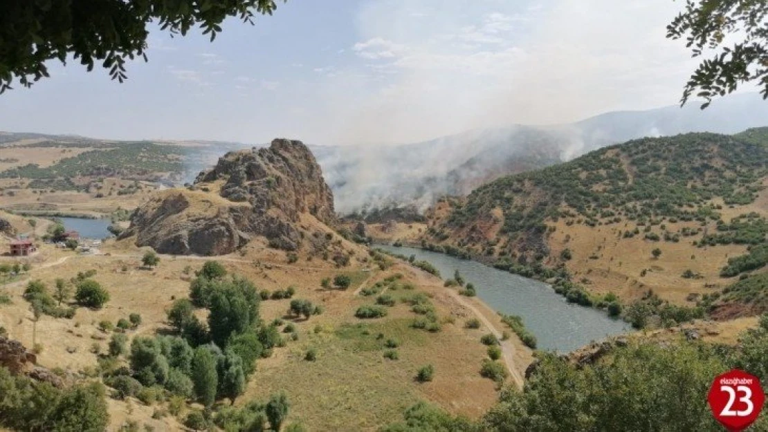 Elazığ'da ki orman yangını söndürüldü, 150 dönüm alan zarar gördü