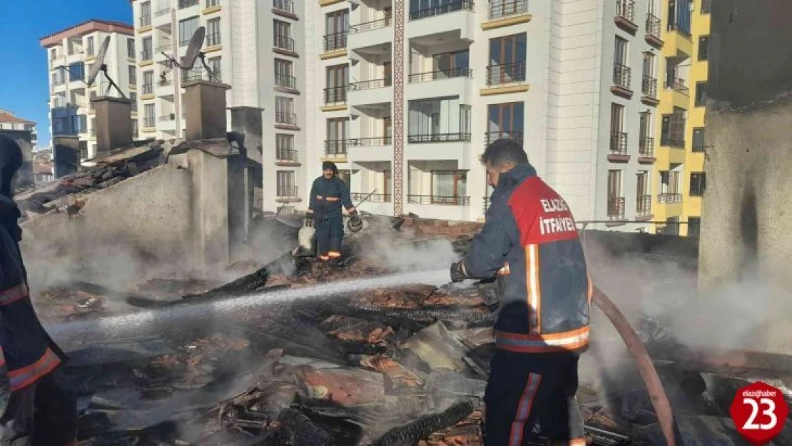 Yeni Mahallede Korkutan Yangın, Alevler Geceyi Gündüze Çevirdi