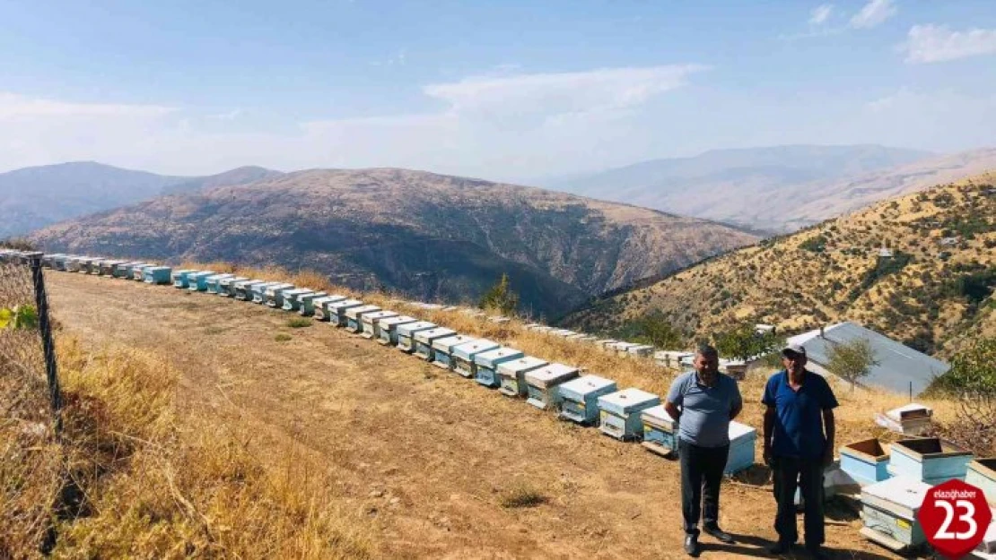 Elazığ'da kovanlar kontrol edildi