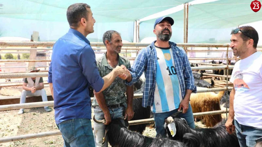 Elazığ'da kurban satış ve kesim noktasında hazırlıklar tamamlandı