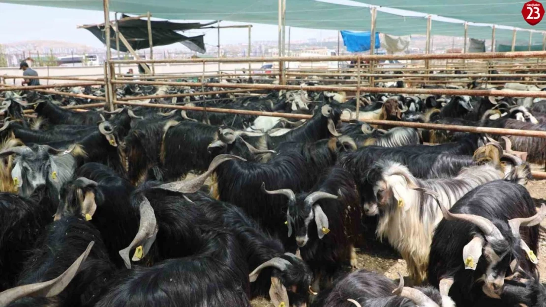 Elazığ'da kurban satış ve kesim alanı belirlendi