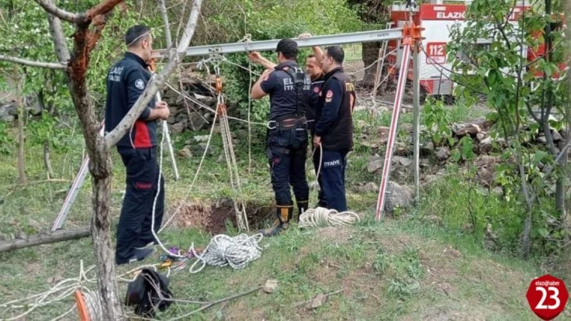 Elazığ'da Kuyuya Düşen İnek Kurtarıldı