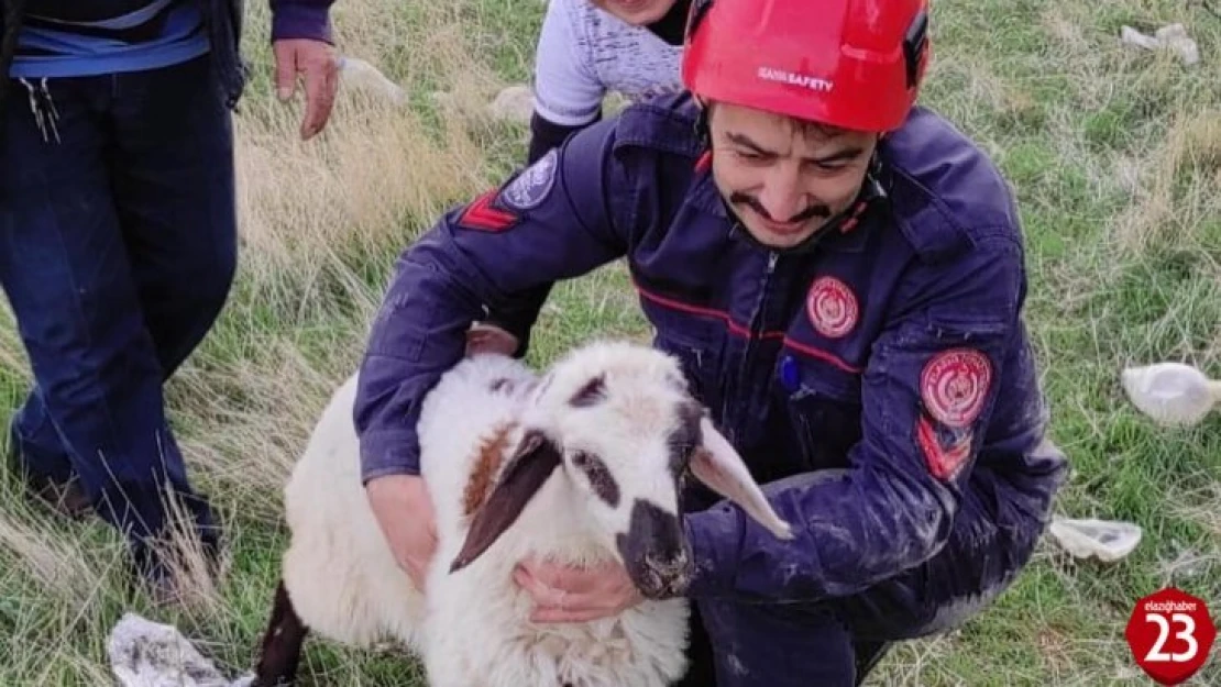 Elazığ'da kuyuya düşen kuzuyu itfaiye kurtardı