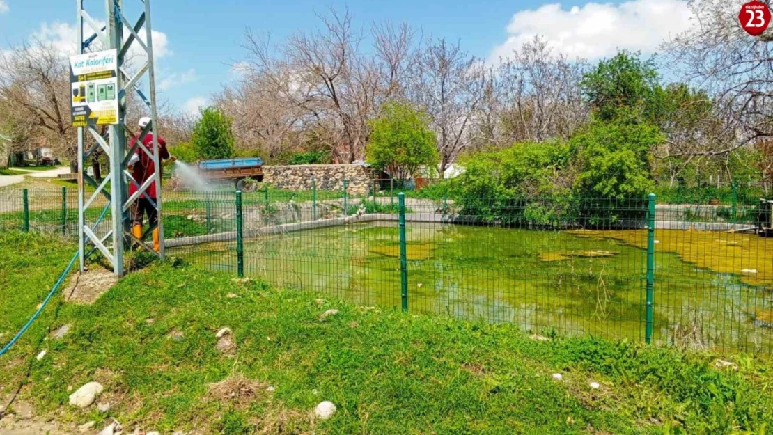 Elazığ'da larva ilaçlama çalışmaları sürüyor