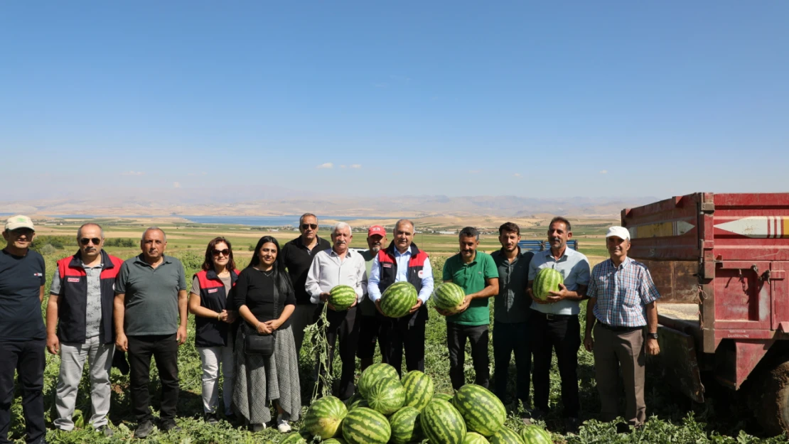 Elazığ'da Muratçık Köyü'nde Karpuz Hasadı Gerçekleştirildi