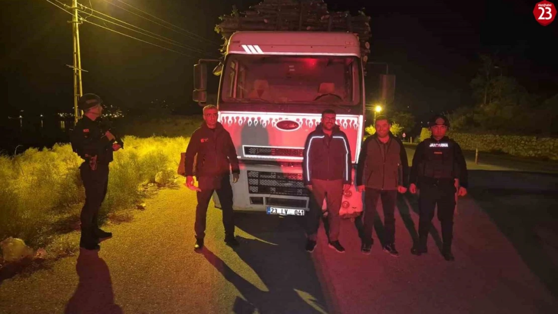 Elazığ'da orman suçlarıyla mücadelede sıkı denetim