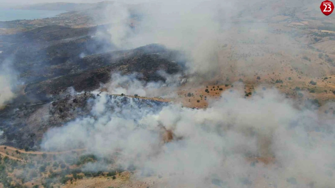 Elazığ'da orman yangınına havadan müdahale sürüyor