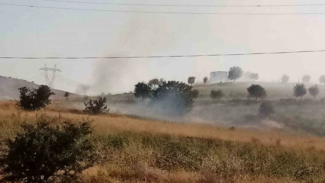 Elazığ'da ot yangını