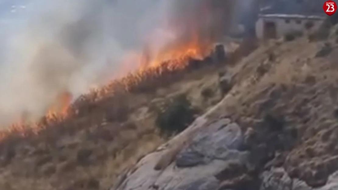 Harput'ta otluk alanda çıkan yangın korkuttu