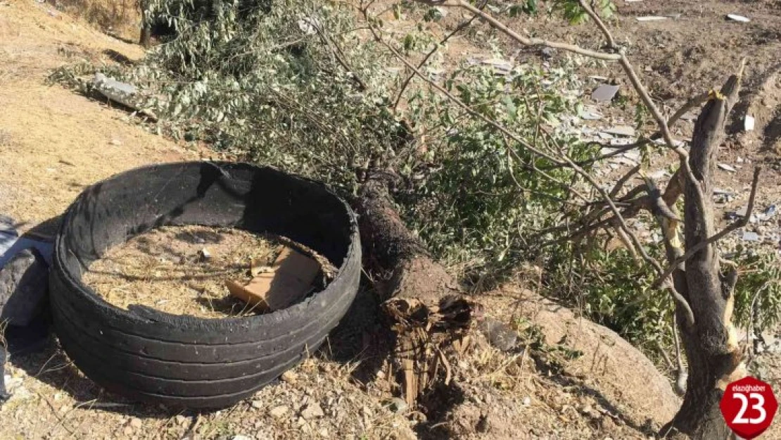 Elazığ'da Pikap Şarampole Yuvarlandı, 5 Yaralı