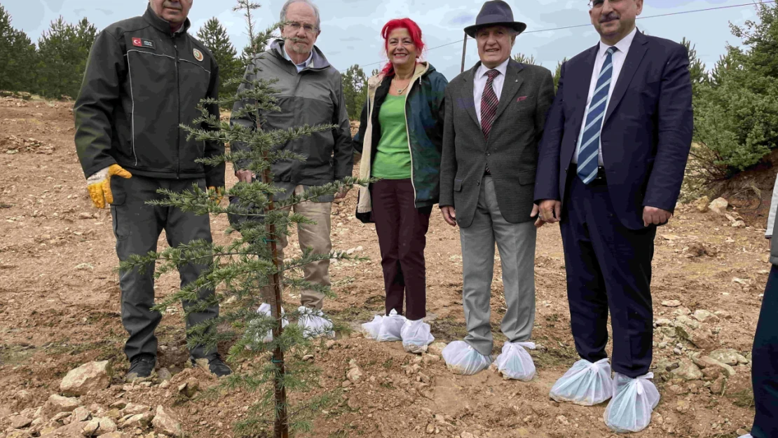 Elazığ'da Prof. Dr. Melih Boydak Hatıra Ormanı'na Fidan Dikildi