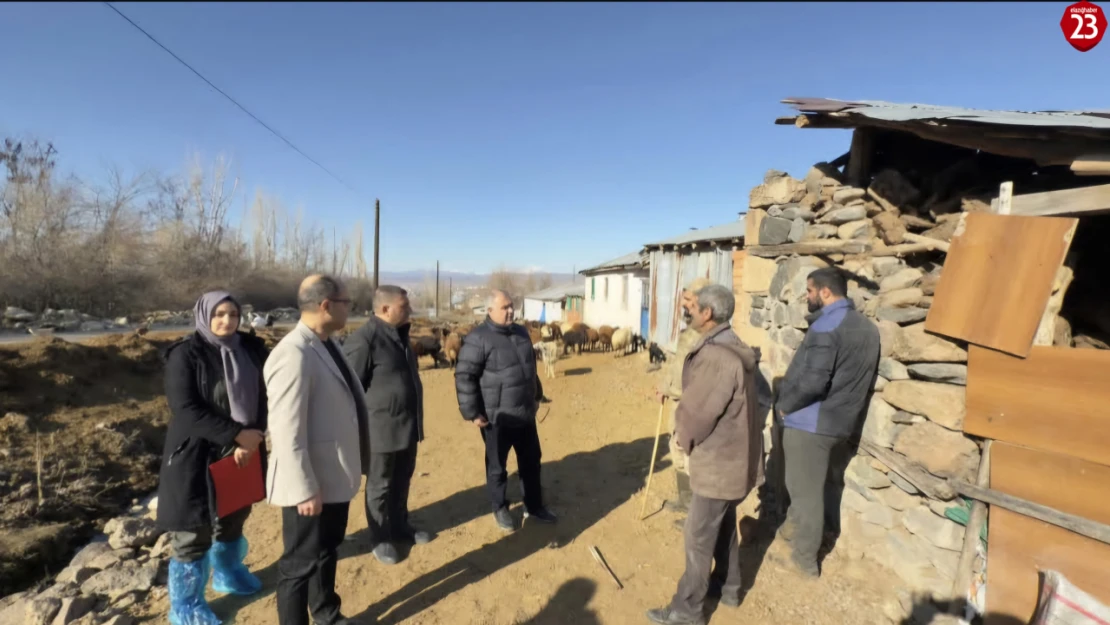 Elazığ'da Şap Hastalığı Alarmı: Üç İlçede Karantina Devam Ediyor