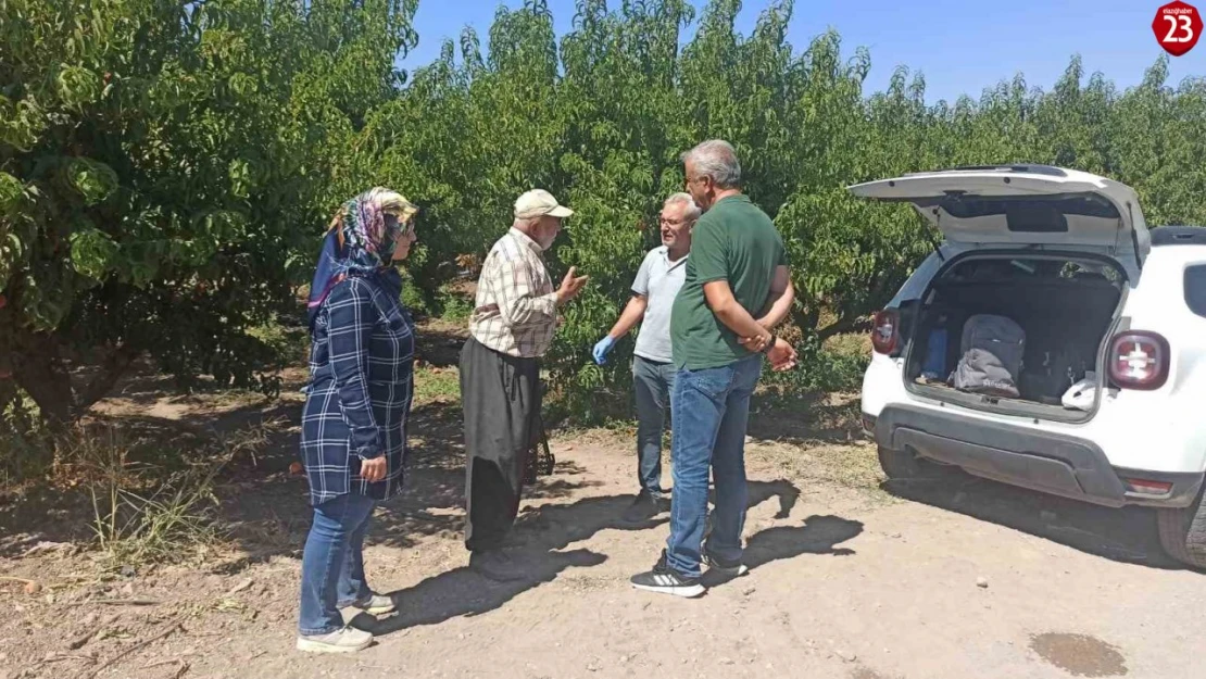 Elazığ'da şeftali bahçelerinde zararlı kontrolleri devam ediyor