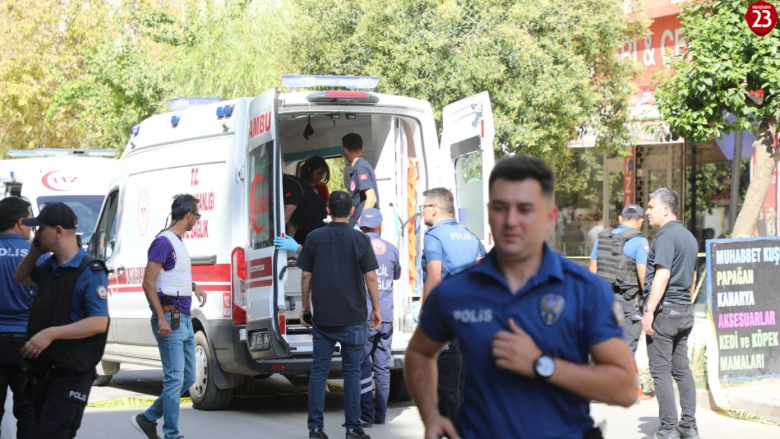 Elazığ'da Silahlı Dehşet: Polis Memuru Yaralandı, Saldırgan Hayatını Kaybetti