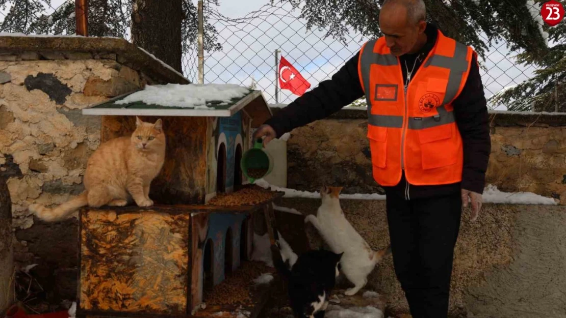 Elazığ Belediyesi'nden Sokak ve Yaban Hayvanlarına Kış Desteği