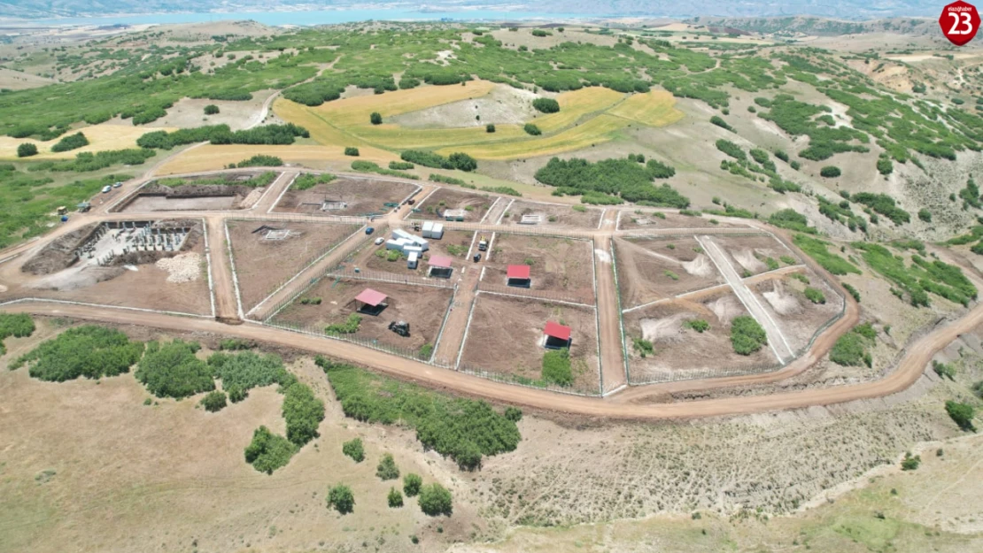 Elazığ'da Sokak Hayvanları İçin Modern Bakımevi ve Doğal Yaşam Alanı Kuruluyor