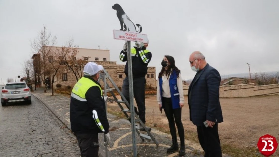 Elazığ'da sokak hayvanlarını korumak için uyarı tabelası