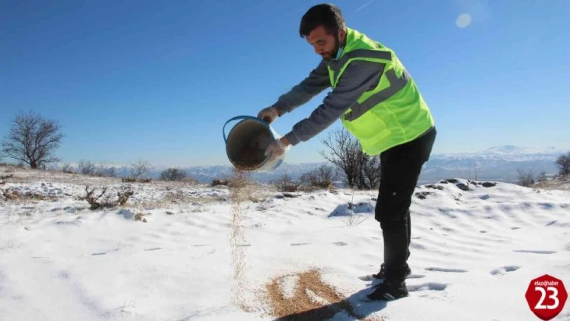 Elazığ'da sokak ve yaban hayvanları için 90 farklı noktaya yem bırakıldı