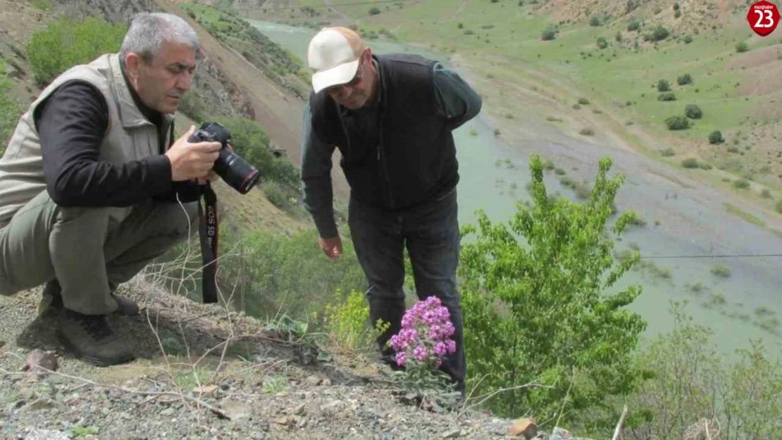 Elazığ'da Ulusal Biyolojik Çeşitlilik ve Envanter İzleme Projesi çalışması