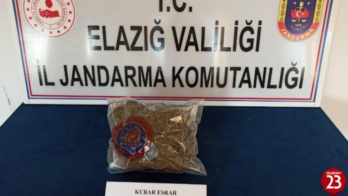 Elazığ'da uyuşturucu ile mücadele:2 gözaltı