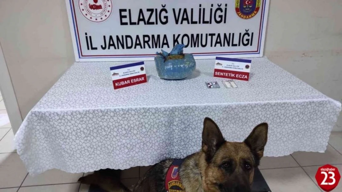 Elazığ'da uyuşturucu operasyonu: 1 gözaltı