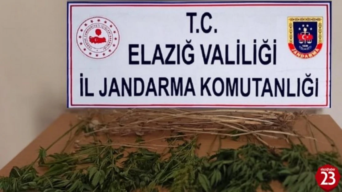 Uyuşturucu Satıcıları Elazığ'da Jandarmadan Kaçamıyor