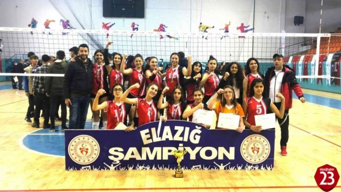 Elazığ'da voleybol müsabakaları sona erdi