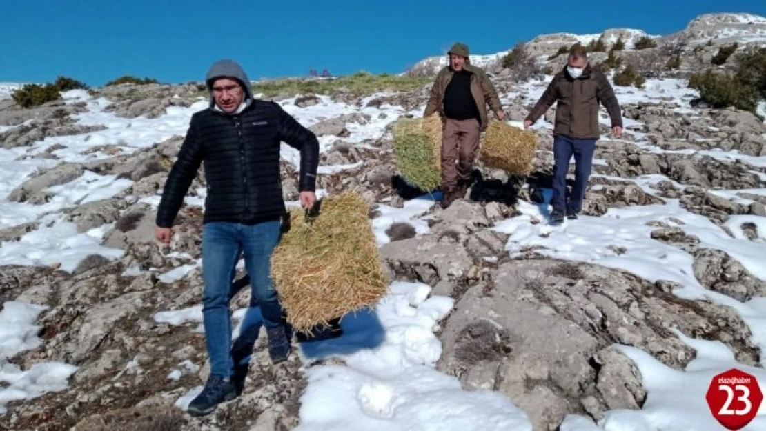 Elazığ'da yaban hayatı için doğaya tonlarca yem bırakıldı