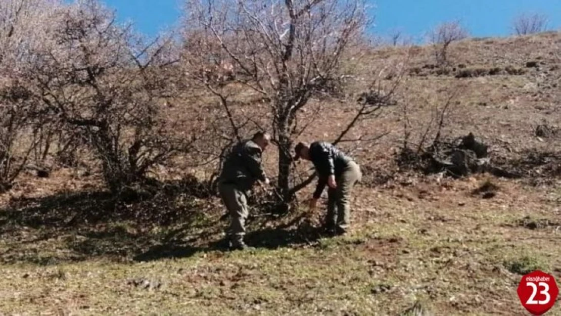 Elazığ'da Yaban Hayatı Ve Kaçak Avcılar, Fotokapanlarla Tespit Ediliyor