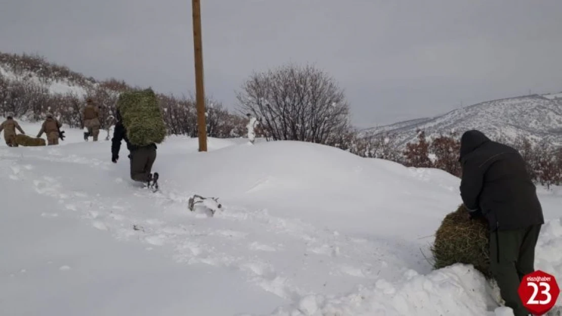 Elazığ'da yaban hayatına bir ayda 7  ton yem bırakıldı