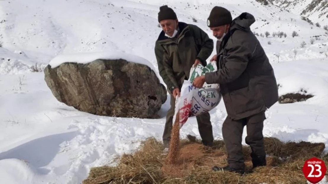 Elazığ'da yaban hayvanları için doğaya 1,5 ton yem bırakıldı