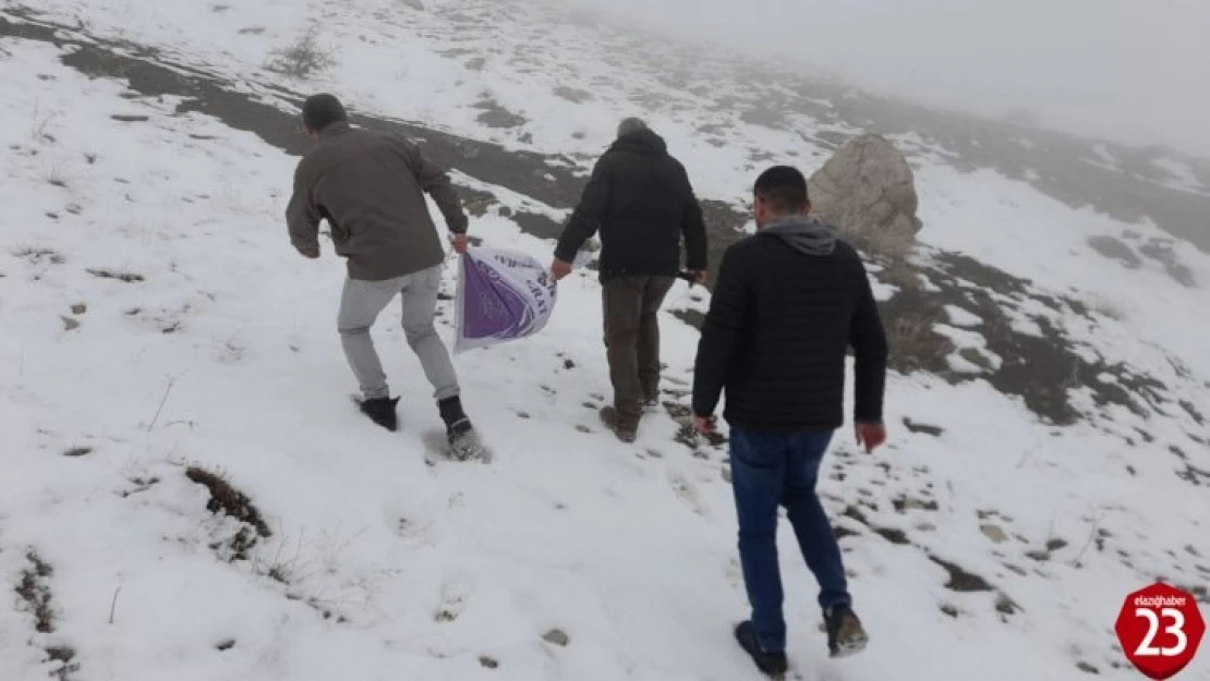 Elazığ'da yaban hayvanları için doğaya yem bırakıldı